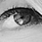 Profile Picture of Laura Rhinehart (@laura rhinehart) on Flickr