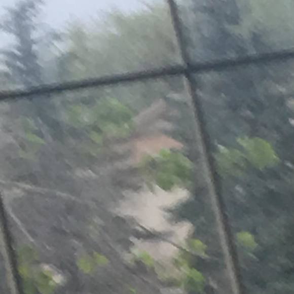 Profile Picture of Adam Rodger (@adam_rodger) on Poshmark