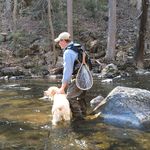 Profile Picture of Eric Pond (@ericpond) on Instagram