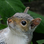 Profile Picture of Robert Baron (@rjbaron58) on Flickr