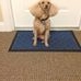 Profile Picture of Carol Hutchens (@carol.hutchens.7) on Facebook