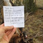 Profile Picture of Bradley Bennett (@tbbennett) on Instagram