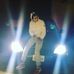 Profile Picture of Andrew Avanessian (@fights.gbh) on Facebook
