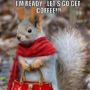 Profile Picture of Sherry Webb (@sherrywebb8376) on Youtube