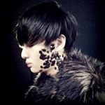 Profile Picture of Daryl Ng (@darylthedork) on Instagram