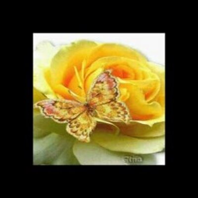 Profile Picture of Troy Sampson (@TroySampson2) on Twitter