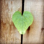 Profile Picture of John Knepp (@nidanen) on Instagram