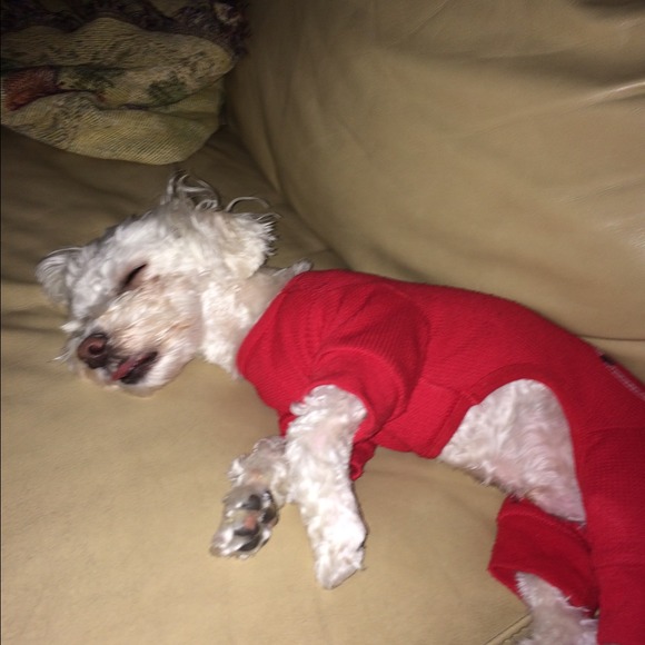 Profile Picture of Chelsea Derolf (@cderolf1) on Poshmark