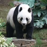 Profile Picture of Aaron Li (@aaron-li-91) on Quora