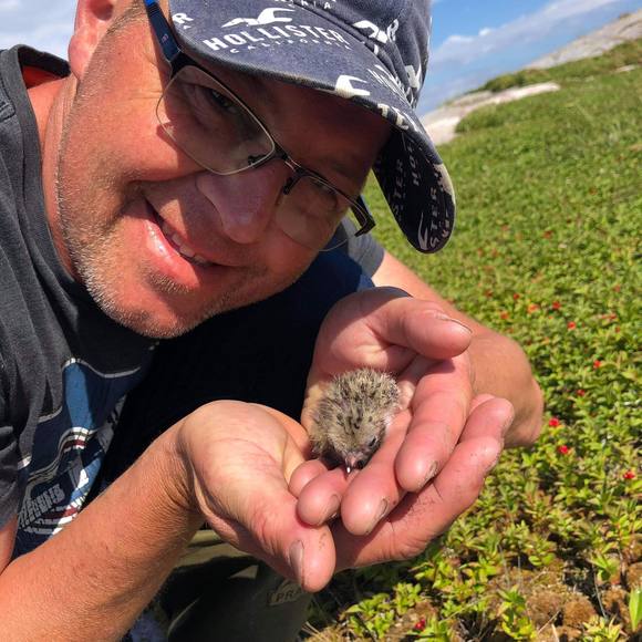 Profile Picture of Randy Carbonneau (@cinstacey) on Poshmark