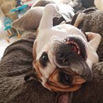 Profile Picture of Laurence Bauche-Loré (@ericlaurenceb) on Instagram