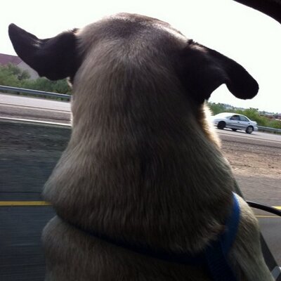 Profile Picture of Jason Vicars (@JasonVicars) on Twitter