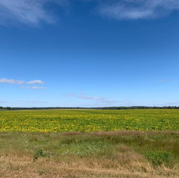 Profile Picture of Michael Levine (@mjlevine88) on Poshmark