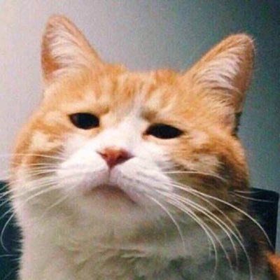 Profile Picture of Bruce Zhang (@brucezhangGla) on Twitter