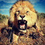 Profile Picture of Michael Majchrzak (@mmajchrzak) on Instagram