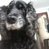 Profile Picture of jessewolfe (@jessewolfe1) on Tiktok