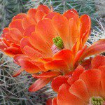 Profile Picture of Zachary Weber (@zachary_weber_art) on Instagram