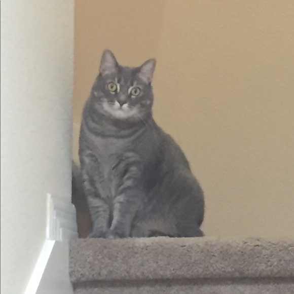 Profile Picture of Ashley Eiger (@ashe418) on Poshmark