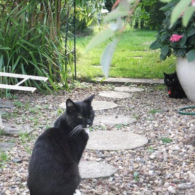 Profile Picture of Bradley Pennock (@BradleyPennock) on Twitter