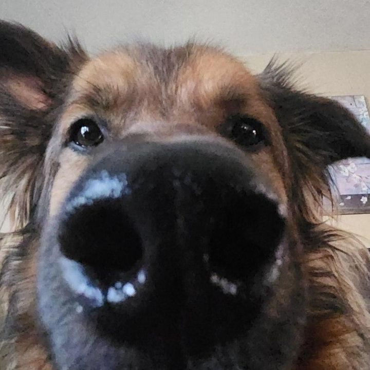 Profile Picture of Addison Howell (@addieh0well) on Tiktok