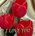 Profile Picture of Thomas Grigsby (@thomas.grigsby.1829) on Facebook