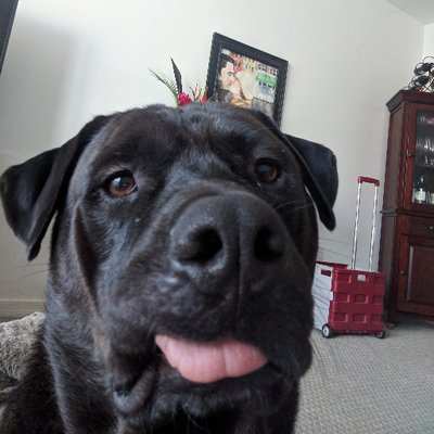 Profile Picture of Joshua Espinosa (@joshespinosa1) on Twitter