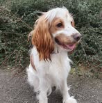 Profile Picture of Alexander Davi (@tochukwufidelia.udenze) on Facebook