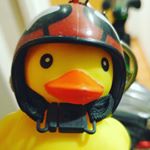 Profile Picture of Andrés Cánepa (@andres_canepa2015) on Instagram