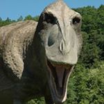 Profile Picture of Marek Piekarczyk (@piekarczykm) on Instagram