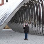 Profile Picture of Adam Kubicki (@adam_kubicki_) on Instagram