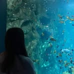 Profile Picture of Arwen Brodat (@Arwen-Brodat) on Facebook