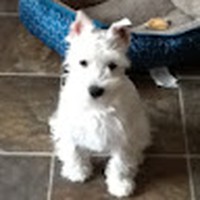 Profile Picture of Jordyn Rae (@jordyn-rae-10) on Quora