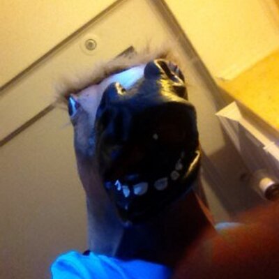 Profile Picture of Brent Haley (@BphBrent) on Twitter