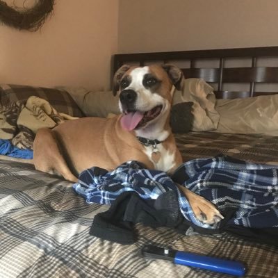 Profile Picture of Cody Himes (@Chimes24) on Twitter