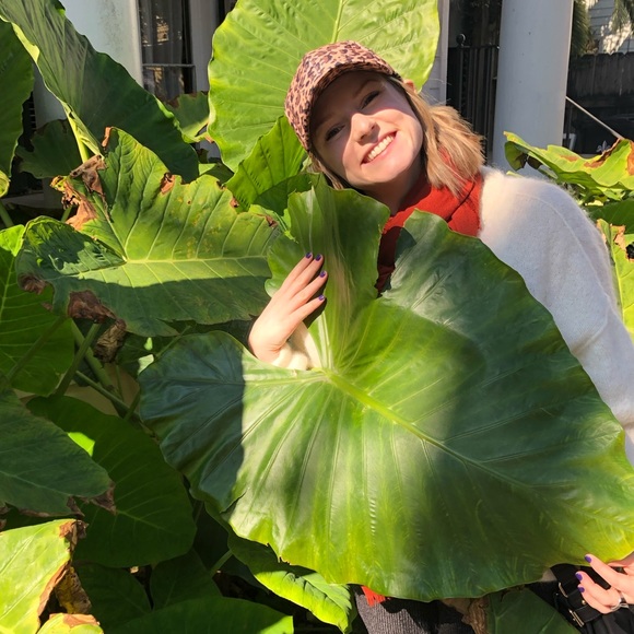 Profile Picture of Bree Cassidy (@breecassidy855) on Poshmark