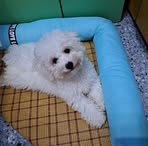 Profile Picture of Timothy Go (@wanghei.tang.79) on Facebook