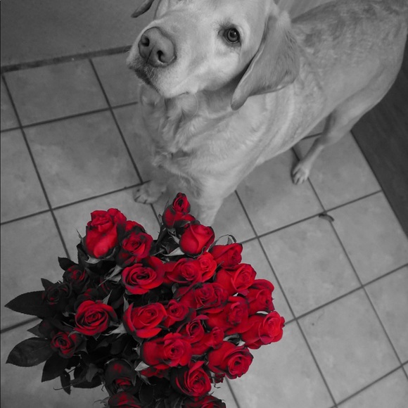 Profile Picture of Emerald Gonzalez (@emeraldgonzo) on Poshmark