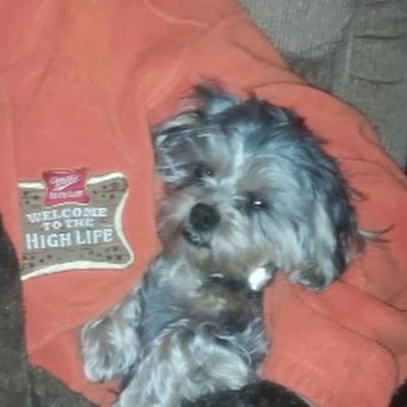 Profile Picture of Paul Felix (@1miller67670) on Poshmark