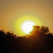 Profile Picture of Kordian (@Kordiannz) on Youtube