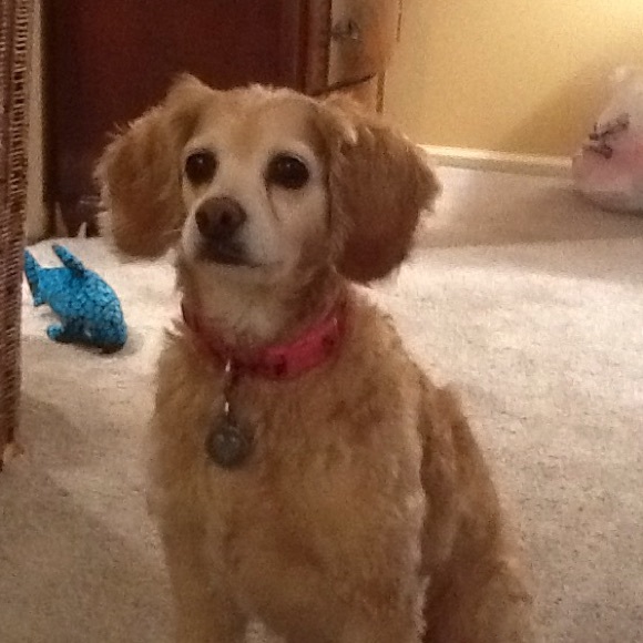 Profile Picture of Rory Hogan (@hoaggs12) on Poshmark