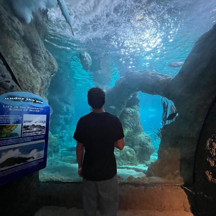 Profile Picture of Michael Inouye (@michael.inouye) on Tiktok