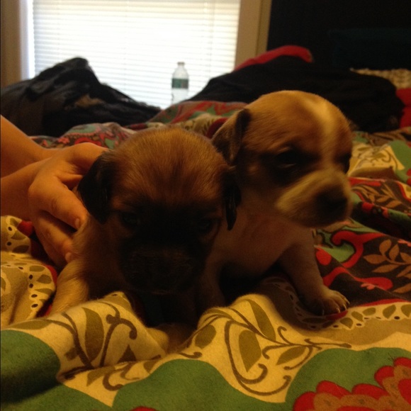 Profile Picture of Tyler Sands (@tyler17sands) on Poshmark