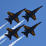 Profile Picture of David Harrington (@bone.harrington) on Flickr