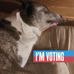 Profile Picture of Mark Buczynski (@mark.buczynski.102) on Facebook