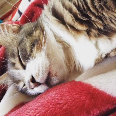 Bennett Murray - Twitter Profile Picture of Bennett Murray (@Bennettmurray05) on Twitter