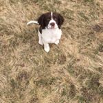 Profile Picture of Sandra McNutt (@sandramcnutt) on Instagram