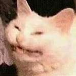 Profile Picture of Collin Campbell (@galeonenrend) on Instagram