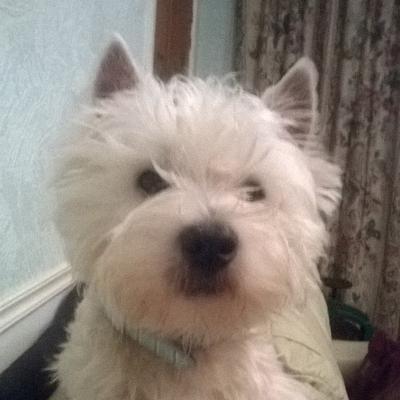 Profile Picture of Mark Harriman (@harrimanm57) on Twitter