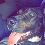 Profile Picture of Jacob Thomas Willett (@jacobw_17_) on Instagram