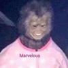Profile Picture of Matthew Purser (@dirtypurser) on Tiktok